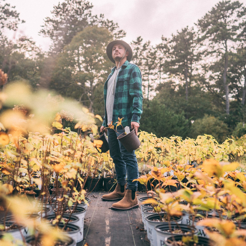 Men's Kodiak McKinney Chelsea Boot image number 10