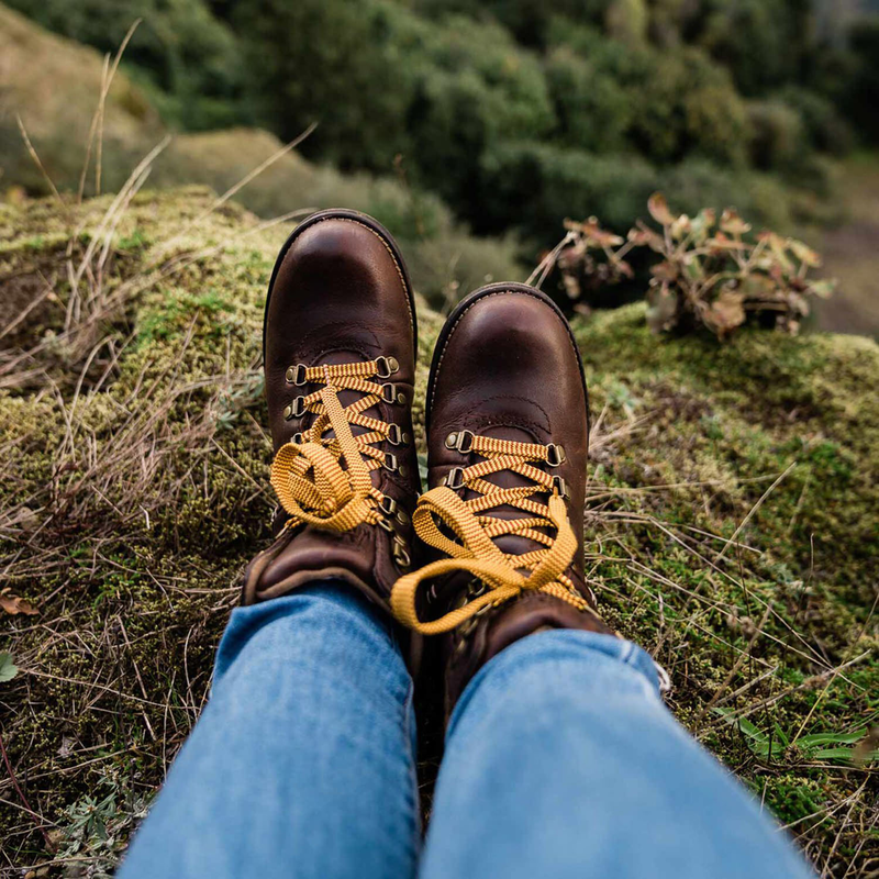 Women's Kodiak Surrey II Waterproof Hiker Style Boot image number 8